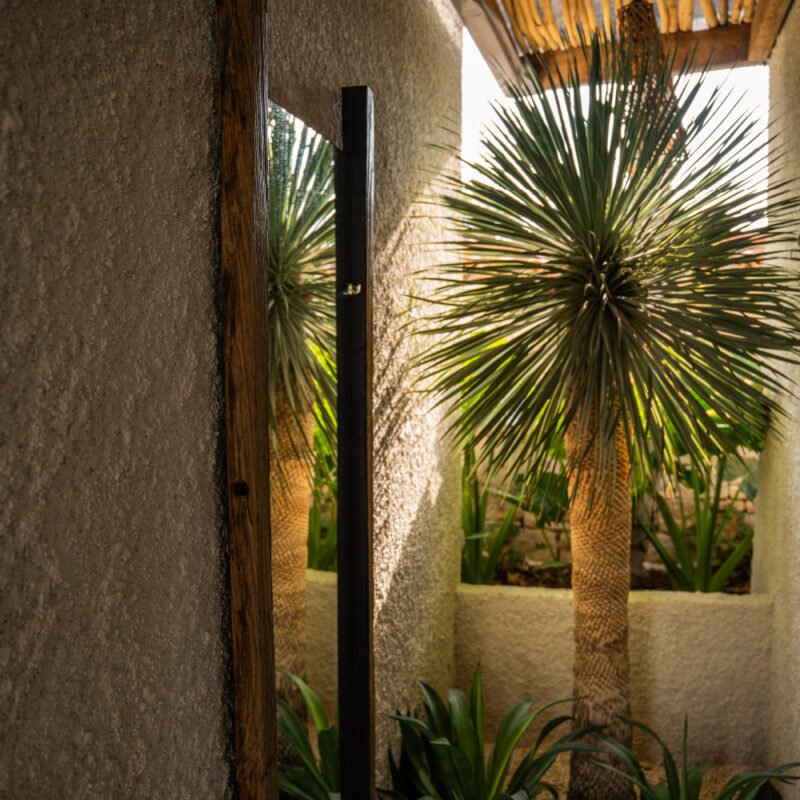 Kestane Palmiye Ayna